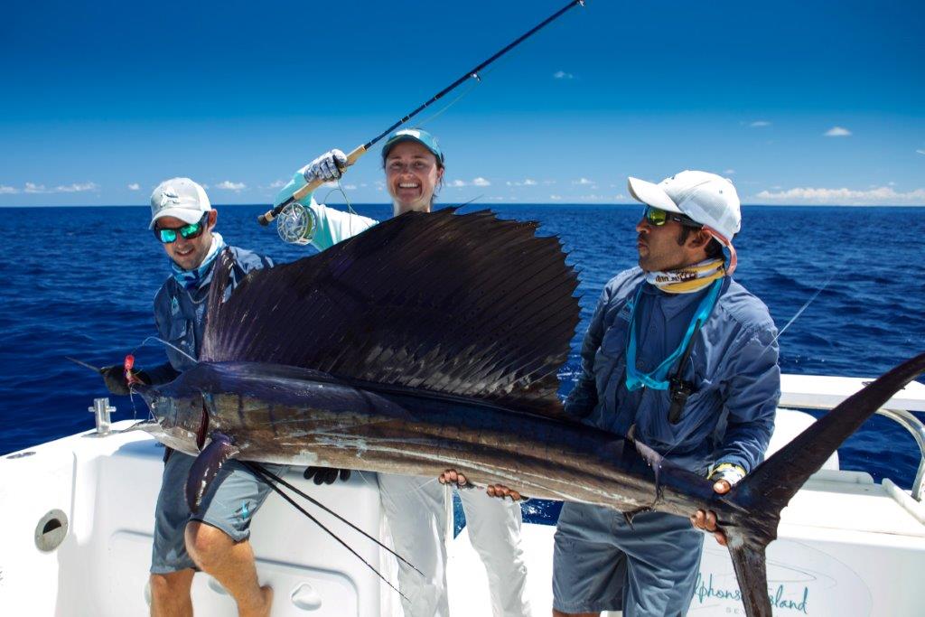 Aardvark McLeod Alphonse Island sailfish on fly