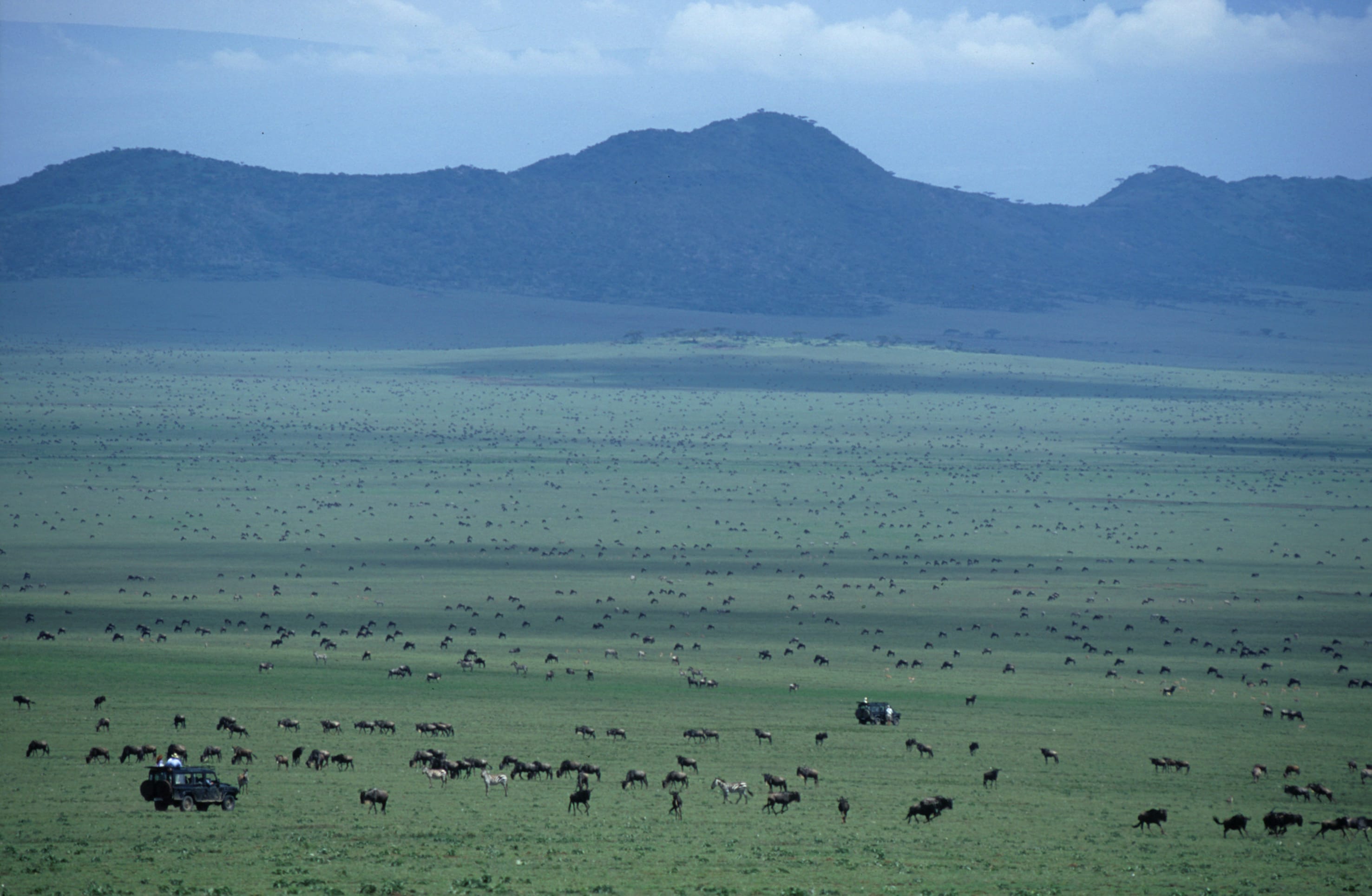 BIG SHOT Gol Mountains with Paul Oliver wildebeest