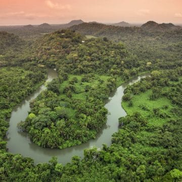 Belcampo, Belize, Aardvark McLeod