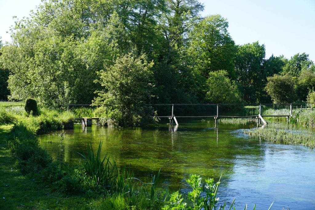 River Anton, Aardvark McLeod