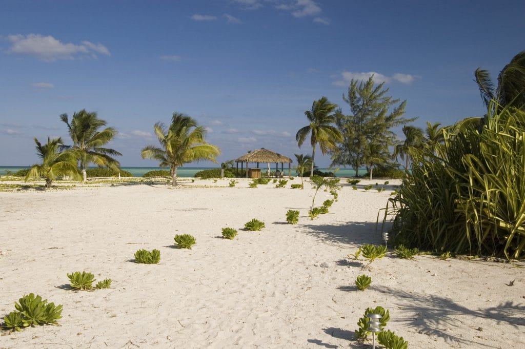 Andros South, Bahamas, Aardvark McLeod