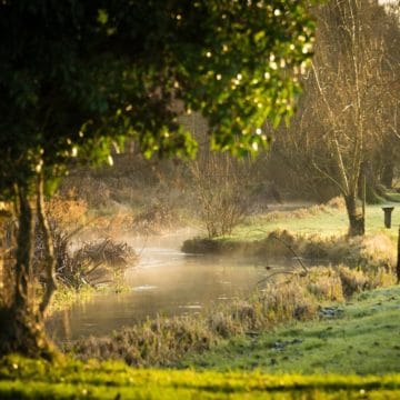 River Kennet Chalkstream fly fishing, Dry Fly Fishing, Alex Jardine, Aardvark McLeod Dry Fly Fishing