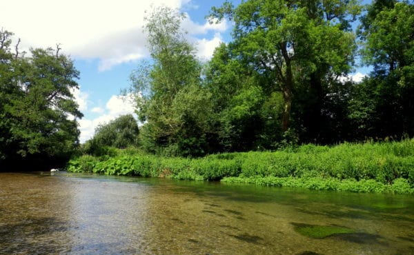 Brown Trout, Wiltshire chalkstream fishing, Grayling, Aardvark McLeod