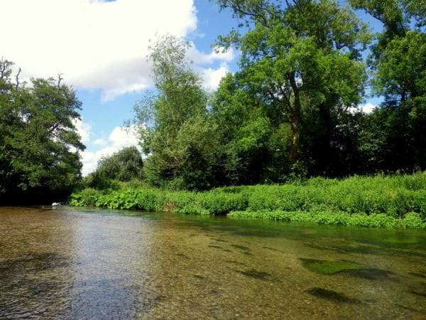 Brown Trout, Wiltshire chalkstream fishing, Grayling, Aardvark McLeod