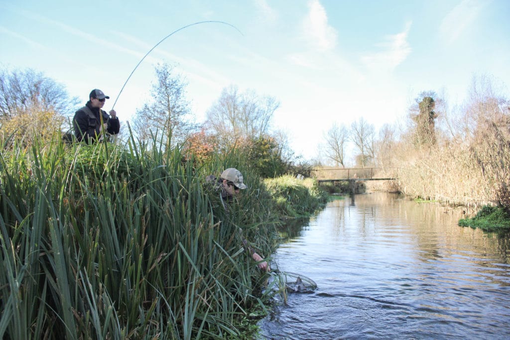 Grayling chalkstream fly fishing, River Kennet Chalkstream fly fishing, Dry Fly Fishing, Alex Jardine, Aardvark McLeod Dry Fly Fishing