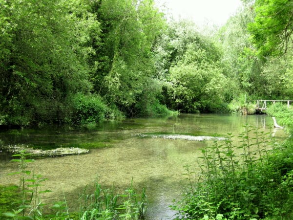 River Lambourn, brown trout, trout fishing, grayling, River Kennet, Chalkstream fishing, Aardvark McLeod