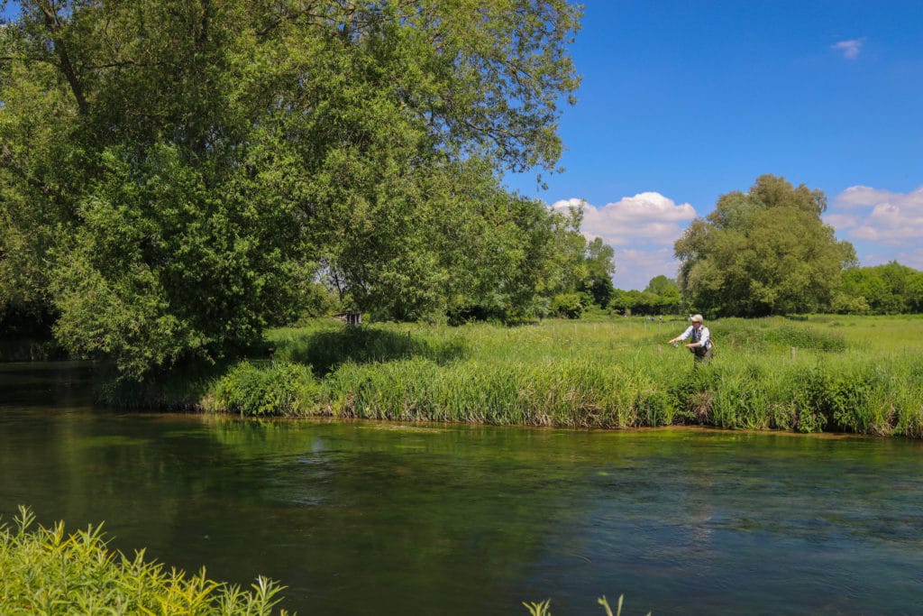 Mayfly 2020 availability, River Test Chalkstream fly fishing, Dry Fly Fishing, Alex Jardine, Aardvark McLeod Dry Fly Fishing