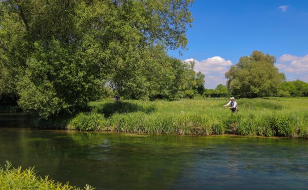 Mayfly 2020 availability, River Test Chalkstream fly fishing, Dry Fly Fishing, Alex Jardine, Aardvark McLeod Dry Fly Fishing