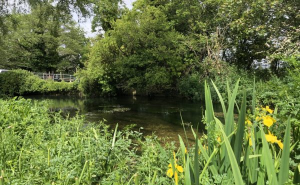 River Frome Chalkstream fly fishing, Dry Fly Fishing, Alex Jardine, Aardvark McLeod Dry Fly Fishing