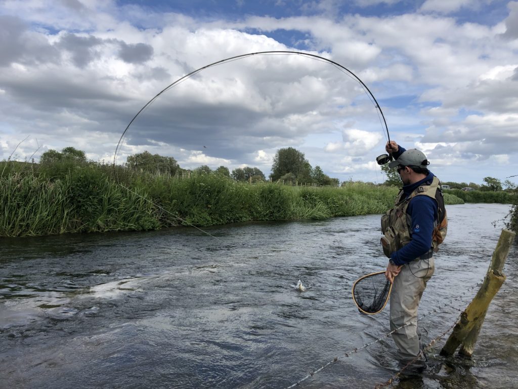 River Frome Chalkstream fly fishing, Dry Fly Fishing, Alex Jardine, Aardvark McLeod Dry Fly Fishing