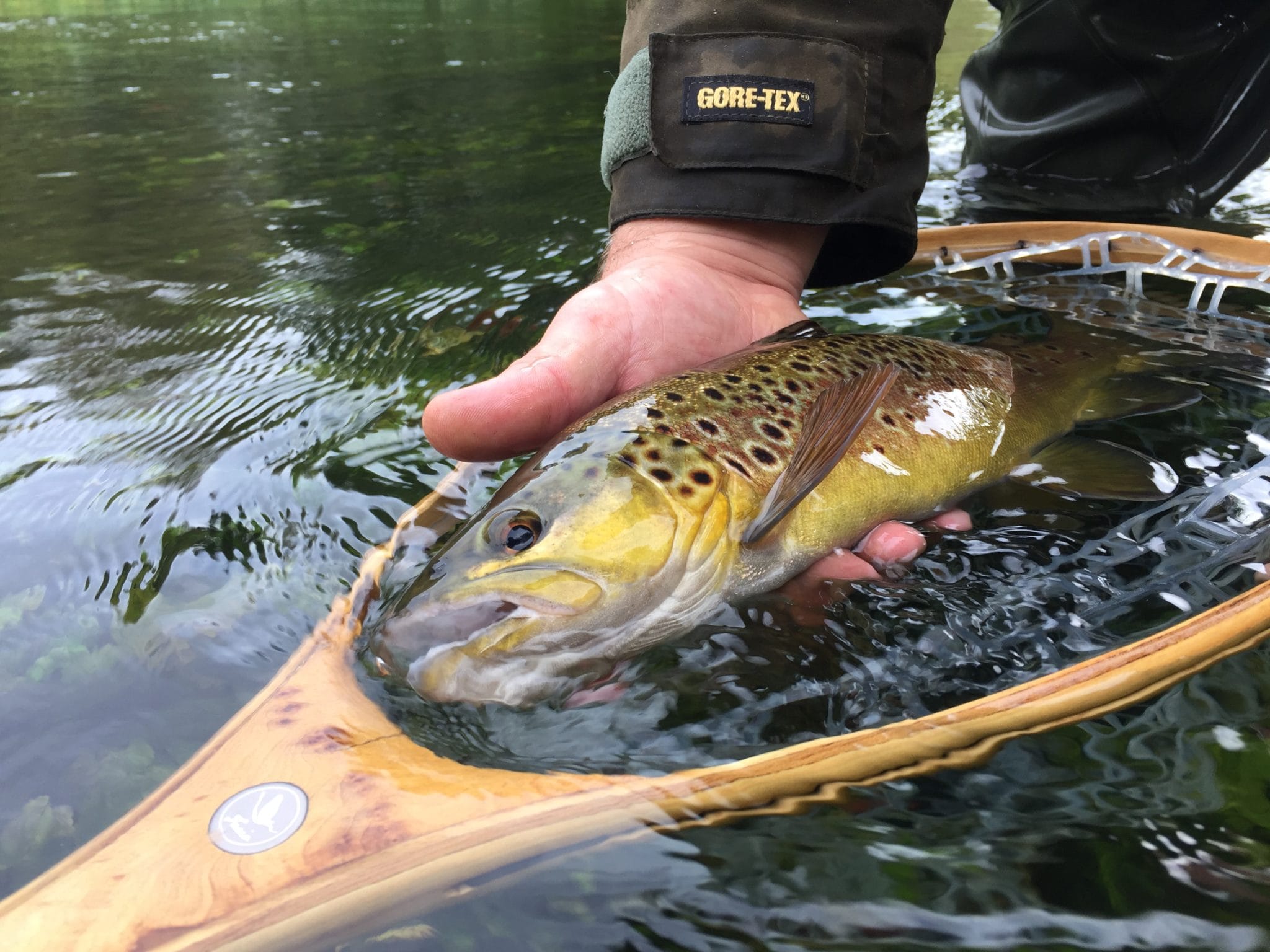 River Itchen Chalkstream fly fishing, Dry Fly Fishing, Alex Jardine, Aardvark McLeod Dry Fly Fishing