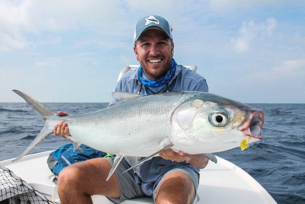 Alphonse Island Seychelles Aardvark McLeod milkfish