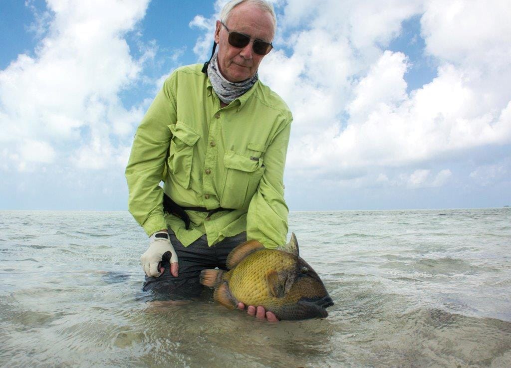 Alphonse Island Seychelles Aardvark McLeod moustache triggerfish