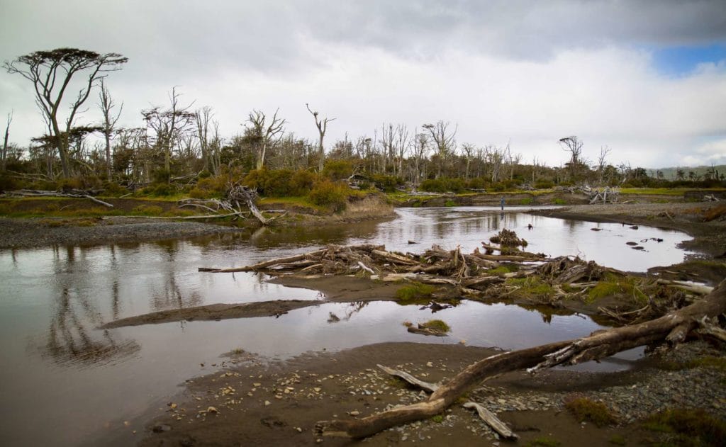 RIO IRIGOYEN, IRIGOYEN RIVER, WORLD END LODGE, FAR END RIVER, SEA TROUT FISHING ARGENTINA, TDF, TIERRA DEL FUEGO, FISHING ARGENTINA, AARDVARK MCLEOD