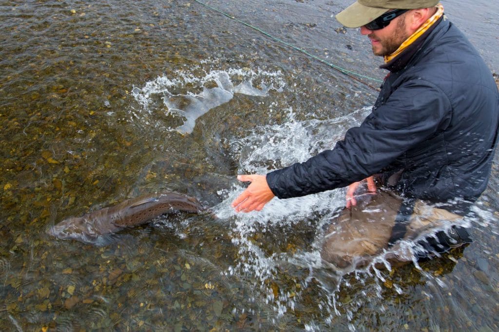 RIO IRIGOYEN, IRIGOYEN RIVER, WORLD END LODGE, FAR END RIVER, SEA TROUT FISHING ARGENTINA, TDF, TIERRA DEL FUEGO, FISHING ARGENTINA, AARDVARK MCLEOD