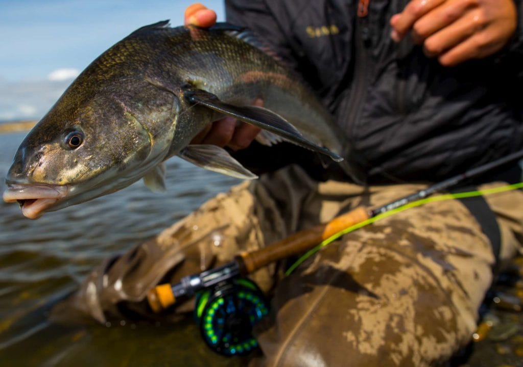 RIO IRIGOYEN, IRIGOYEN RIVER, WORLD END LODGE, FAR END RIVER, SEA TROUT FISHING ARGENTINA, TDF, TIERRA DEL FUEGO, FISHING ARGENTINA, AARDVARK MCLEOD