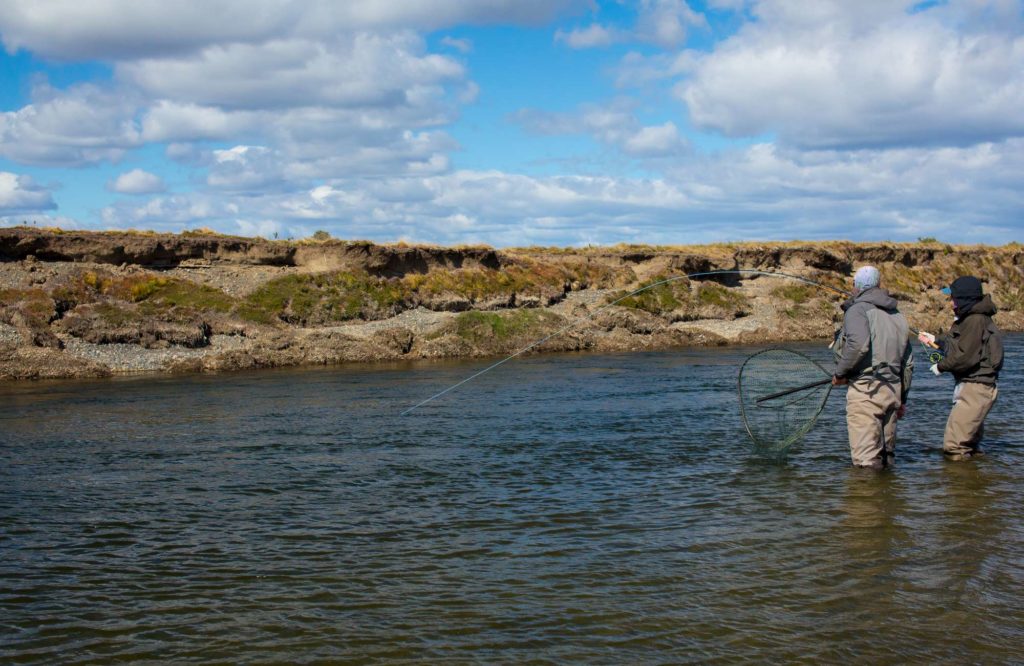 Rio Grande, Aardvark McLeod, Aurelia lodge, sea trout tierra del fuego, fishing sea trout argentina
