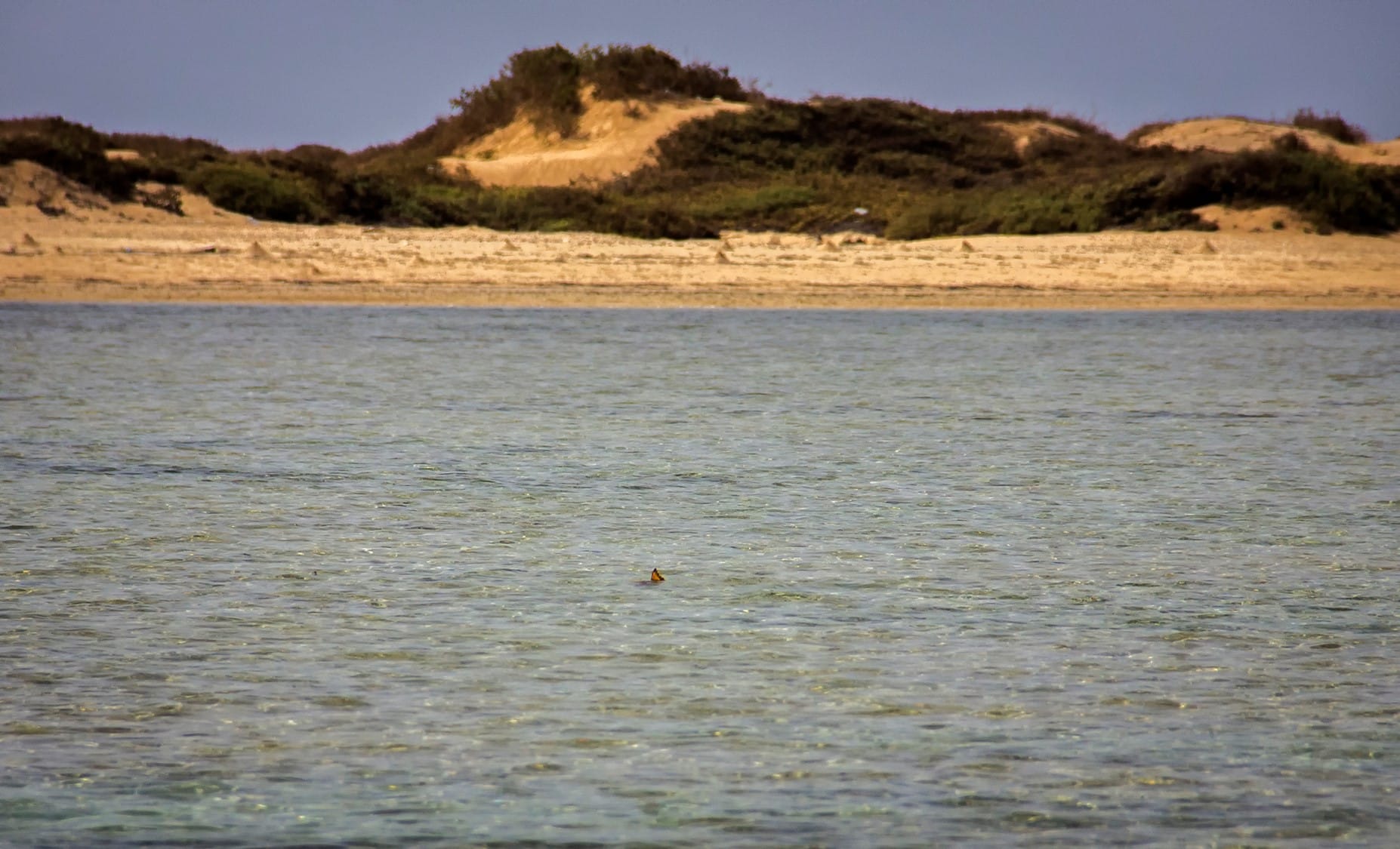 Nubian Flats, Sudan, Aardvark McLeod