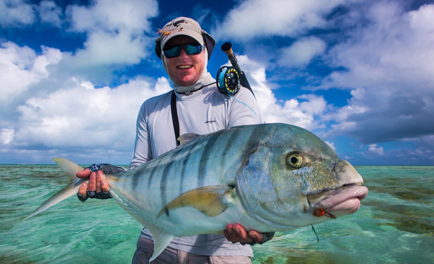 St Brandon's atoll golden trevally Mauritius