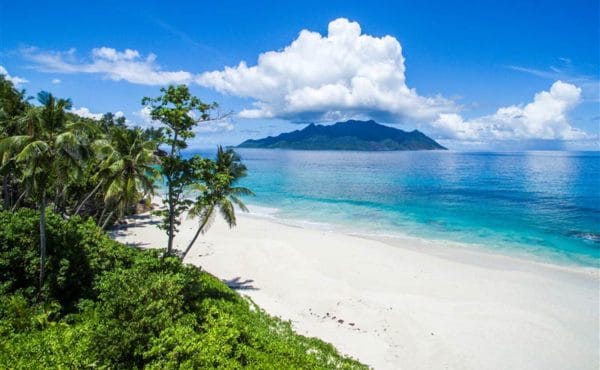 North Island, Seychelles, Aardvark McLeod