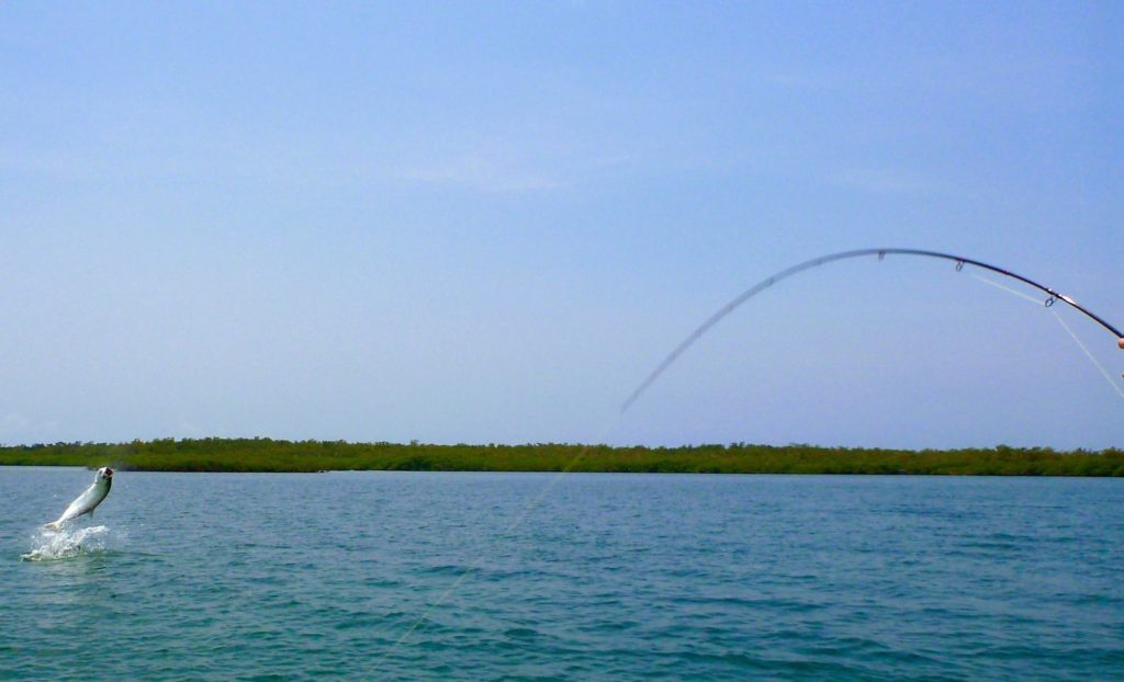 Turneffe Flats Resort, Belize, Fly Fishing