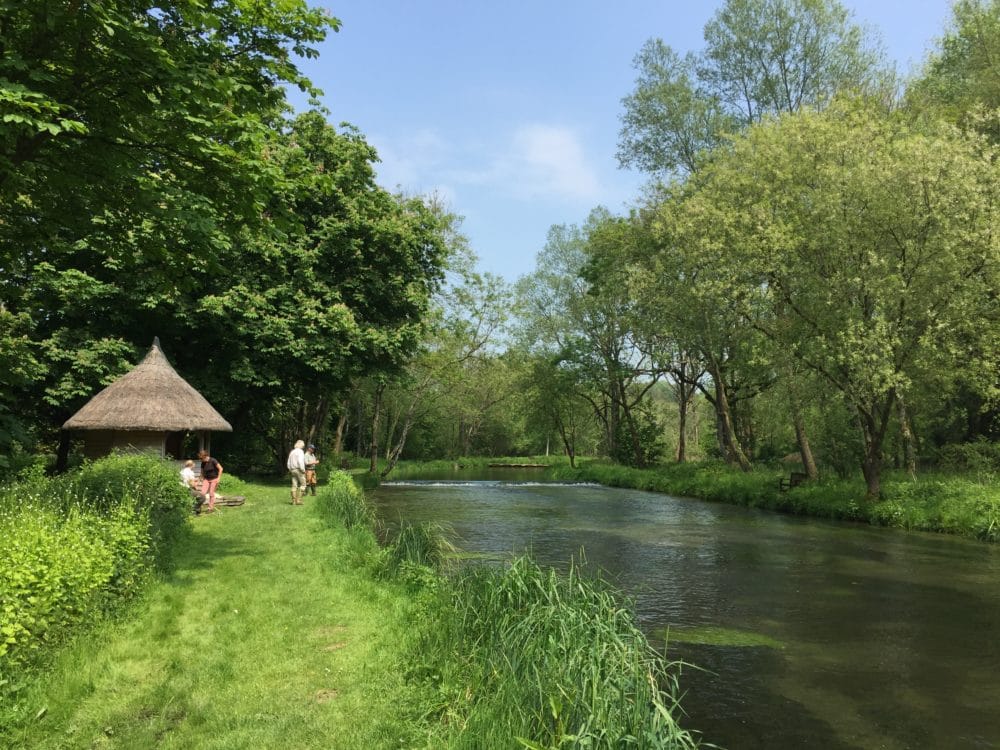 River Test, Brown Trout, Chalkstream Fishing, Aardvark McLeod