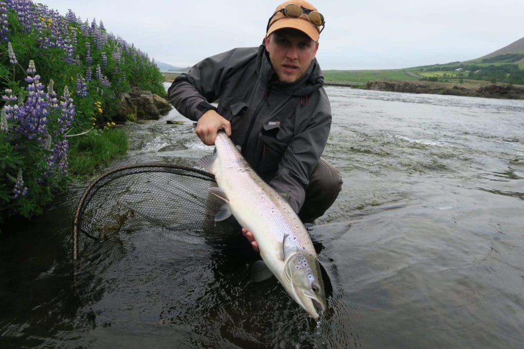 Iceland Salmon Fishing