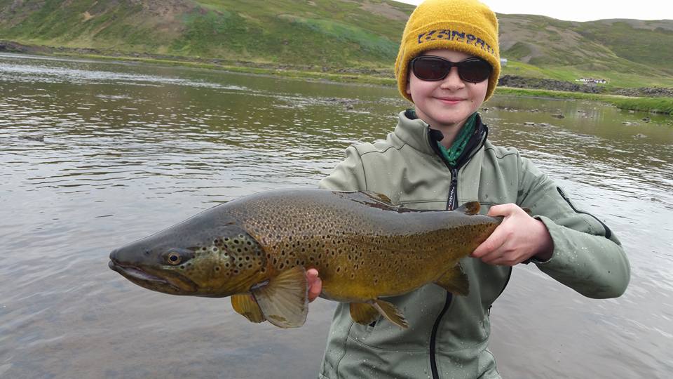 Iceland brown trout Fishing