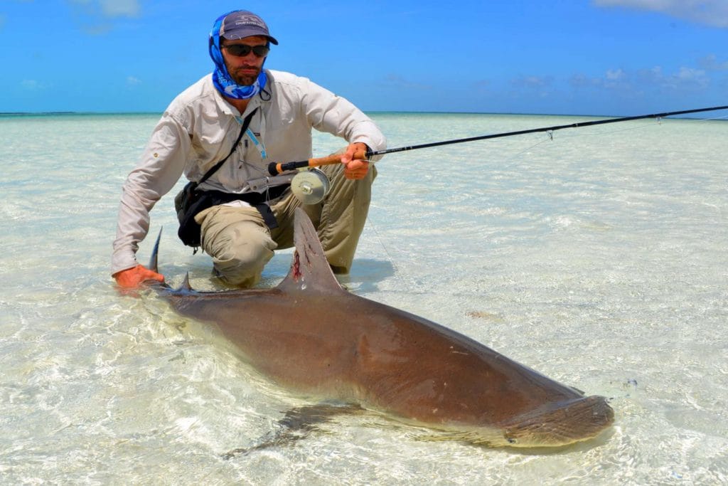 Tarpon, Bonefish, Permit, Aardvark McLeod, Triggerfish, flats fishing, Acklins Island, Crooked Island, fly fishing Bahamas, bahamas fishing, remote fishing bahamas, crooked island fishing lodge, acklins island fishing lodge