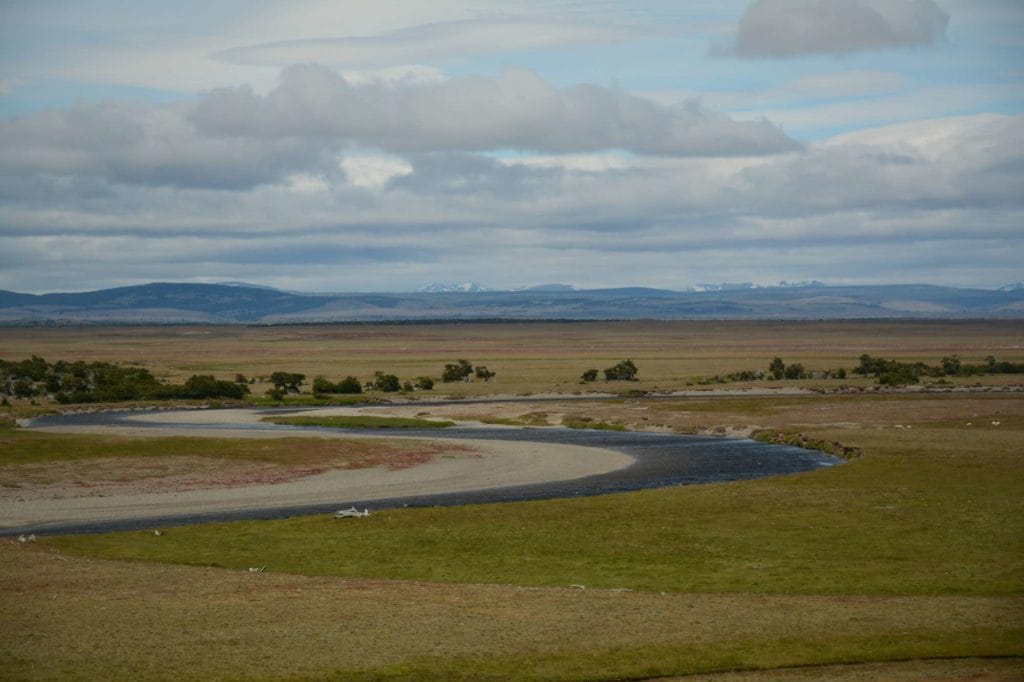 El rincon, rio Gallegos, rio penitente, fishing argentina, sea trout, brown trout, bella vista, las buitreras