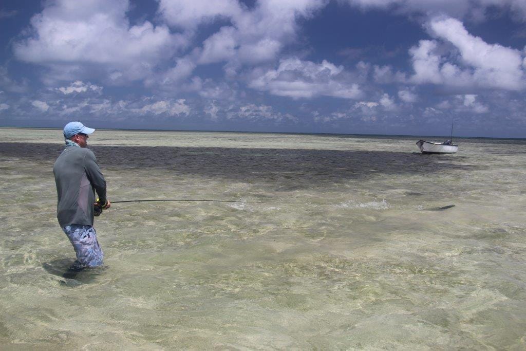 Providence Atoll, Seychelles, Aardvark McLeod