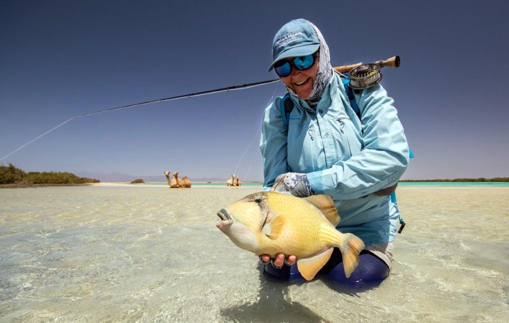 Sudan, triggerfish, titan triggerfish, yellow margin triggerfish, GT, bluefin trevally