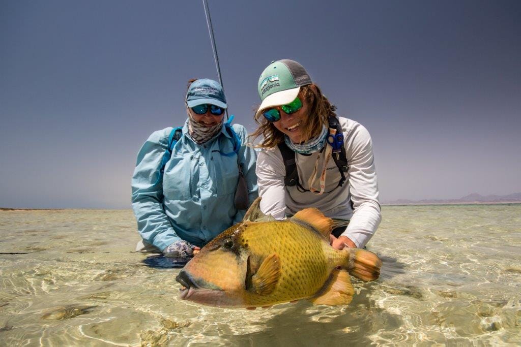 Sudan, triggerfish, titan triggerfish, yellow margin triggerfish, GT, bluefin trevally