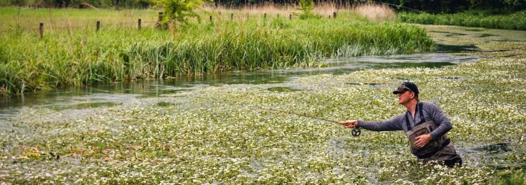 Upper River Avon June 2016, Chalkstream Fishing