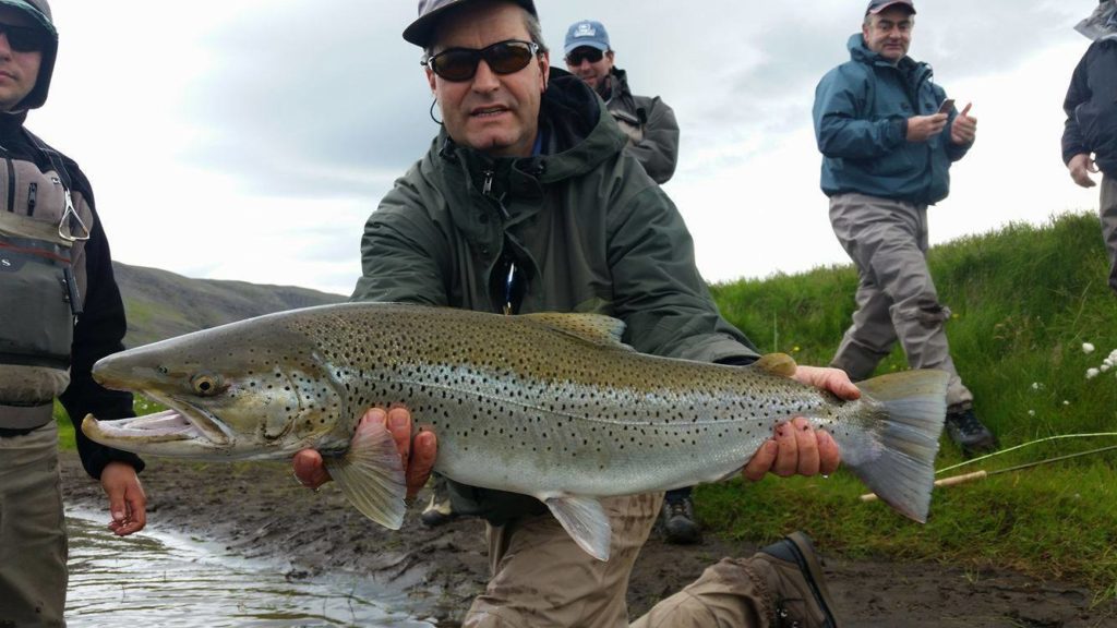 Iceland, Salmon Fishing, Aardvark McLeod