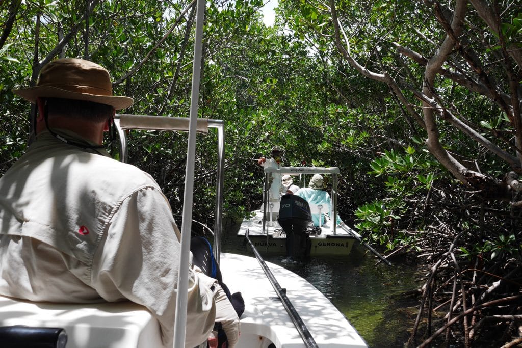 Cayo Largo, Cuba, Saltwater Fly Fishing, Aardvark McLeod