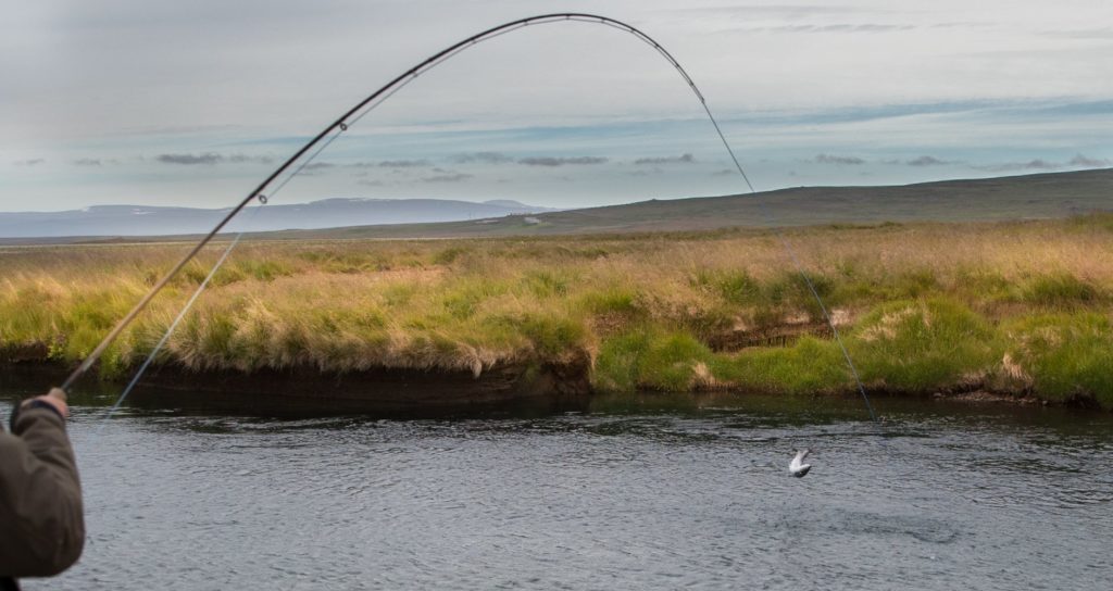 Iceland Salmon Fishing, Haukadalsa, Aardvark McLeod