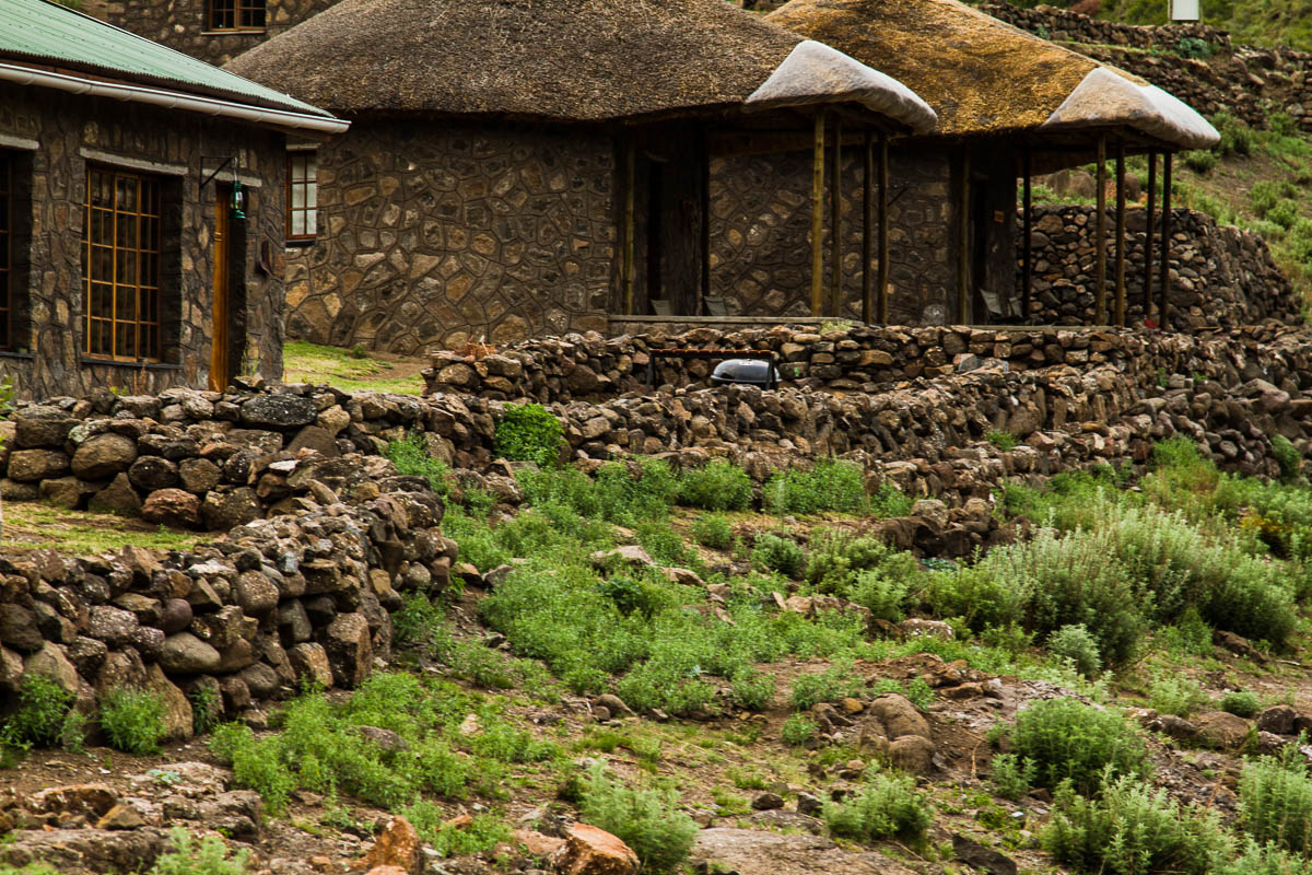 akhangoa Community Camp, Lesotho, Aardvark McLeod, rainbow trout, brown trout, yellowfish,