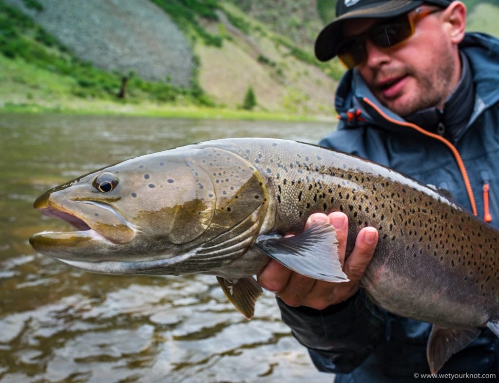 Taimen Fishing, Mongolia, Aardvark McLeod