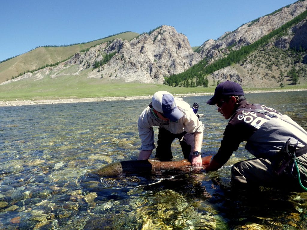 Alex Jardine, Taimen Fishing, Mongolia, Aardvark McLeod