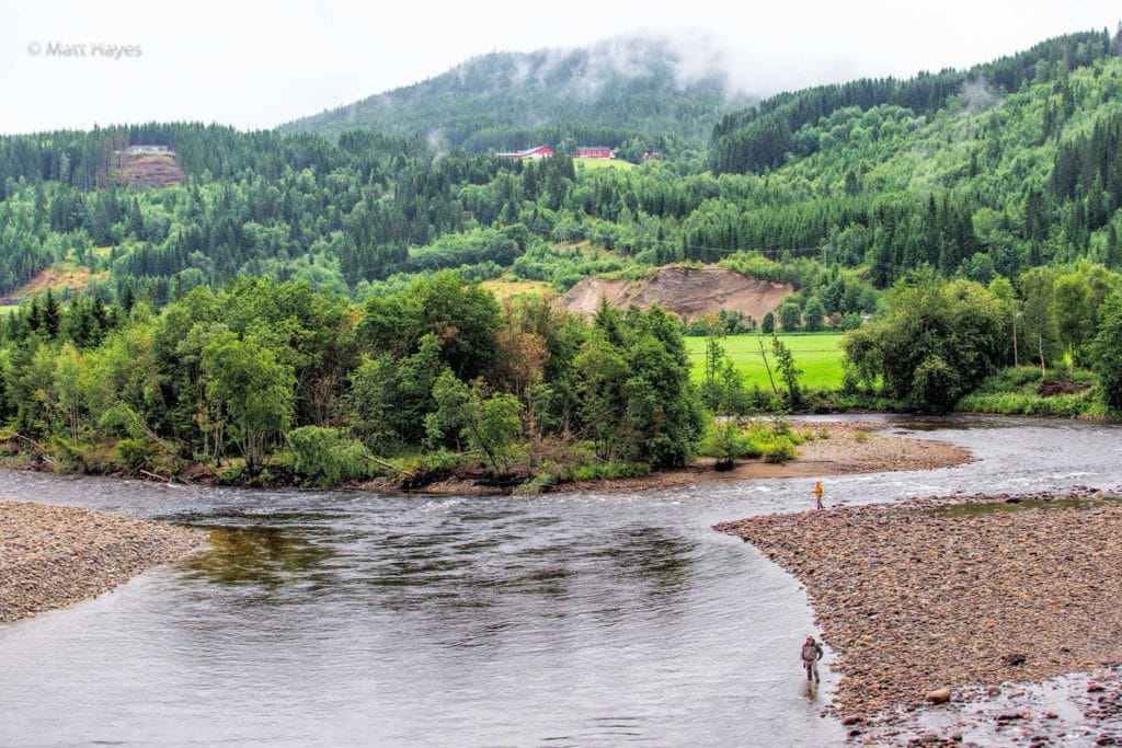 Gaula River, Winsnes Lodge, Norway, Atlantic salmon