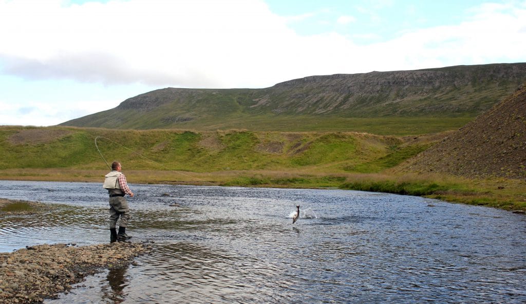 Laxa I Dolum, salmon fishing, Iceland, Iceland Guide