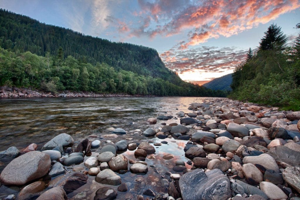 Gaula River, Winsnes Lodge, Norway, Atlantic salmon