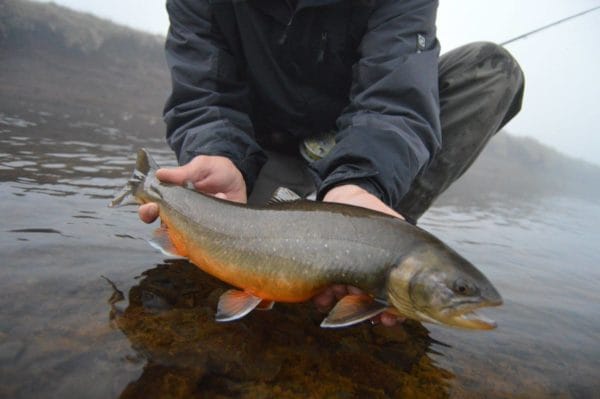 Iceland Highlands, arctic char fishing, Iceland fishing guide, Aardvark McLeod, fishing in Iceland