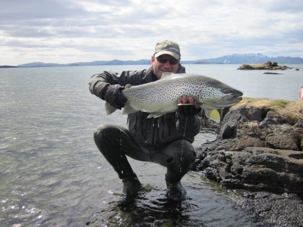 Thingvallavatn, Lake Thingvellir, trout fishing Iceland, brown trout, Iceland fishing guide, Aardvark McLeod, fishing in Iceland
