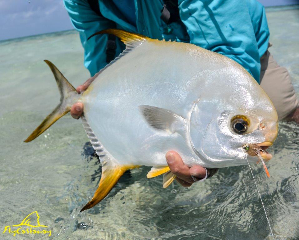 St Brandon's atoll, Mauritius, fishing in Mauritius, fly fishing in Mauritius, holiday in Mauriutus, bonefish, GT, permit