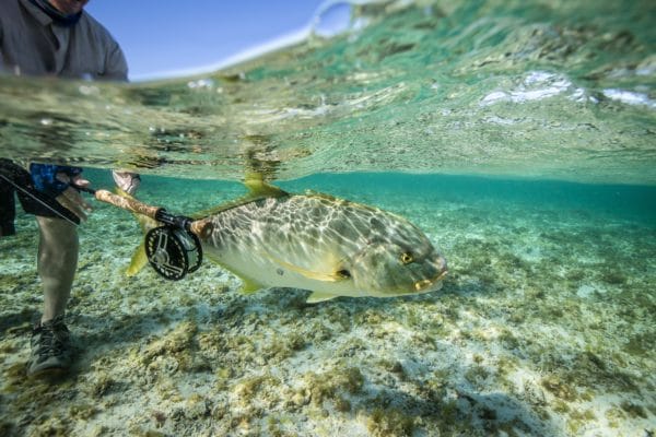 Exmouth, Australia, Aardvark McLeod, trevally, sailfish, permit