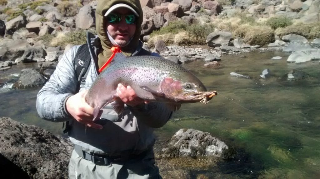 estancia laguna verde, jurassic lake, lago strobel, moro creek, rio barrancoso river, huge rainbow trout, wild rainbow trout, fly fishing Argentina.