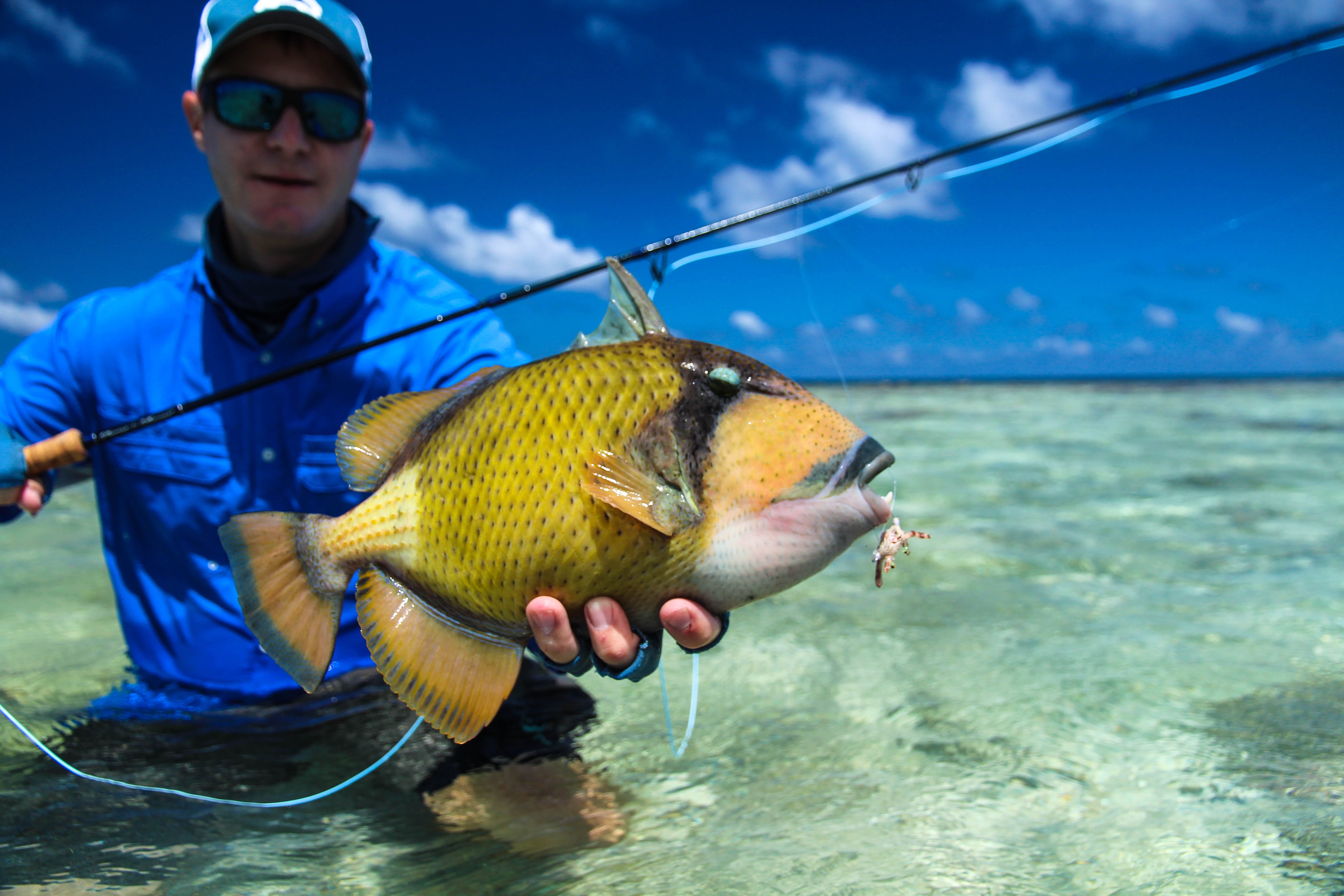 Cosmoledo atoll, Seychelles, Aardvark McLeod