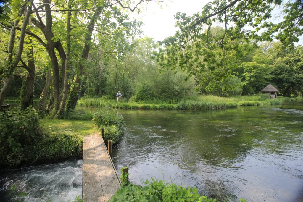 River Test Mayfly Fishing